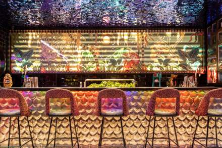 diamono x salmon guru